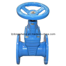 Cast Iron DIN Pn16 Resilient Seated Gate Valves